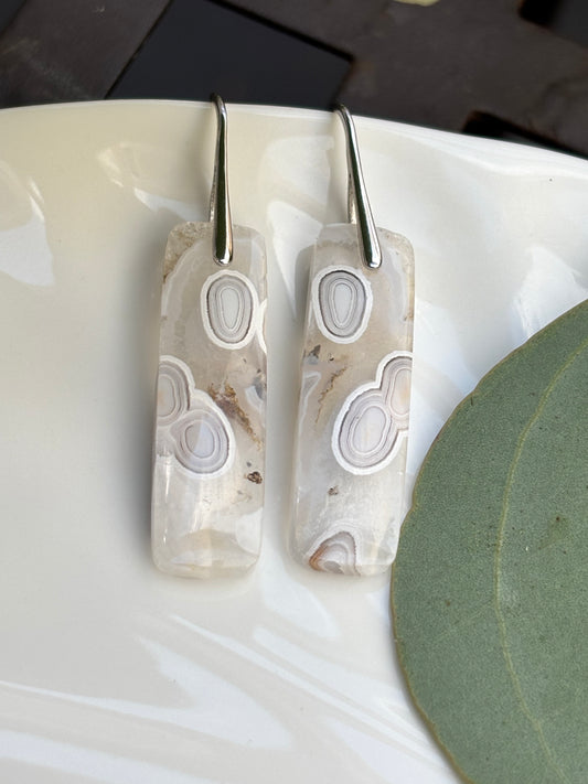 Crazy Lace Agate Dangle Earrings