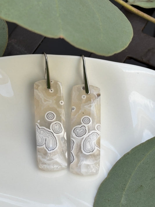 Crazy Lace Agate Dangle Earrings
