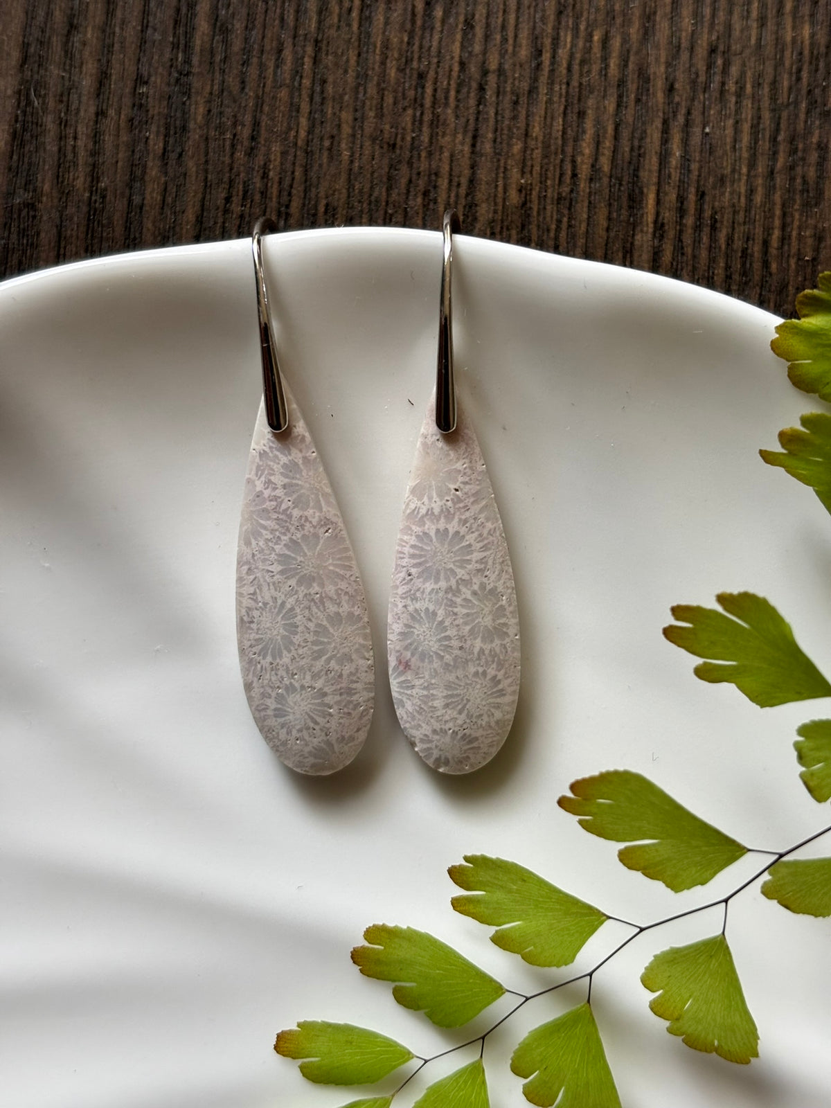 Fossilized Coral Soft Grey Earrings