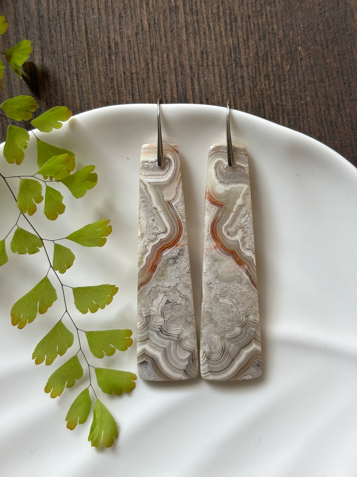 Crazy Lace Agate Silver Landscape Earrings