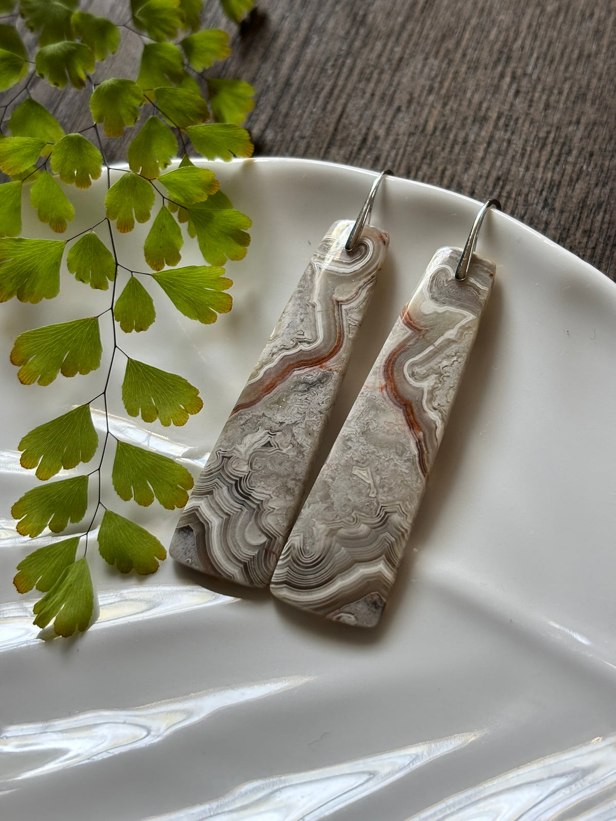 Crazy Lace Agate Silver Landscape Earrings alternate view 2