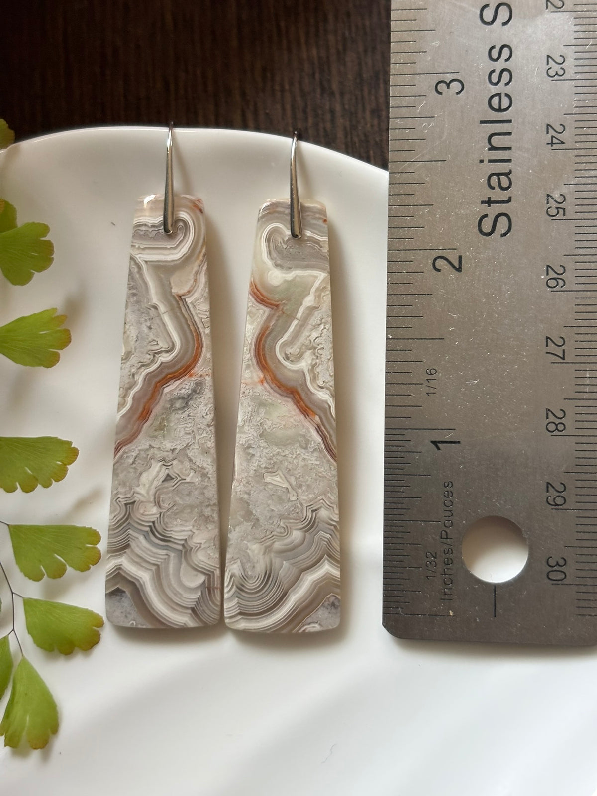 Crazy Lace Agate Silver Landscape Earrings alternate view 3