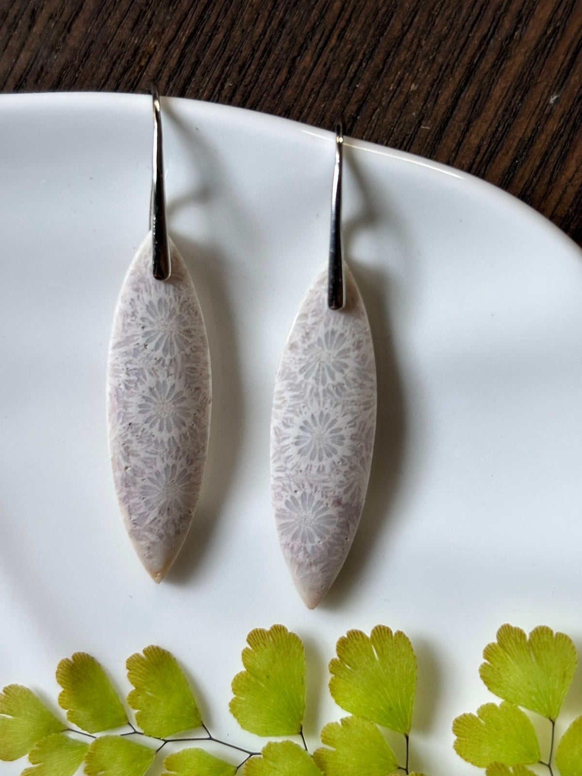 Fossilized Coral Ivory Landscape Earrings