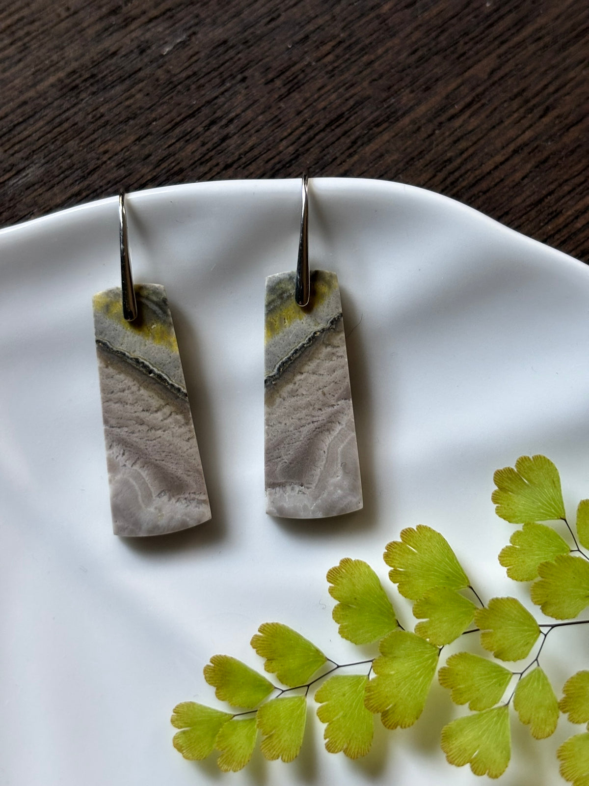 River Jasper Earth Bands Earrings