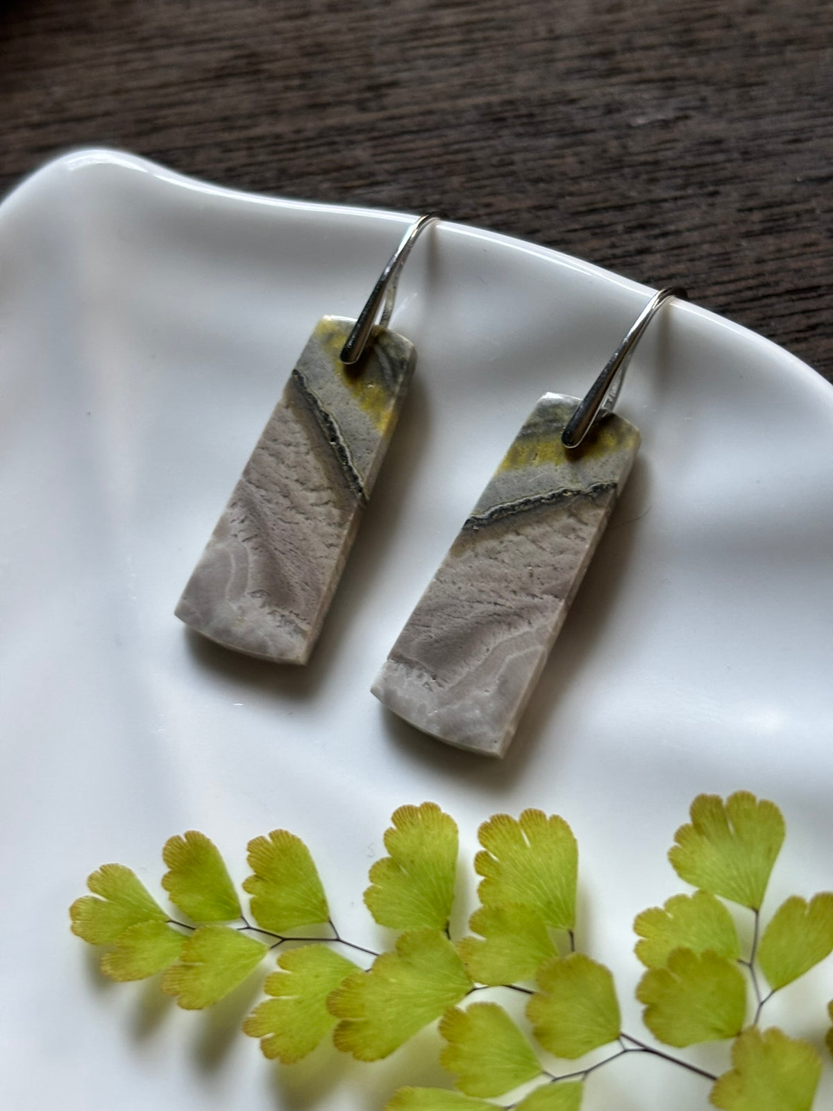 River Jasper Earth Bands Earrings alternate view 2
