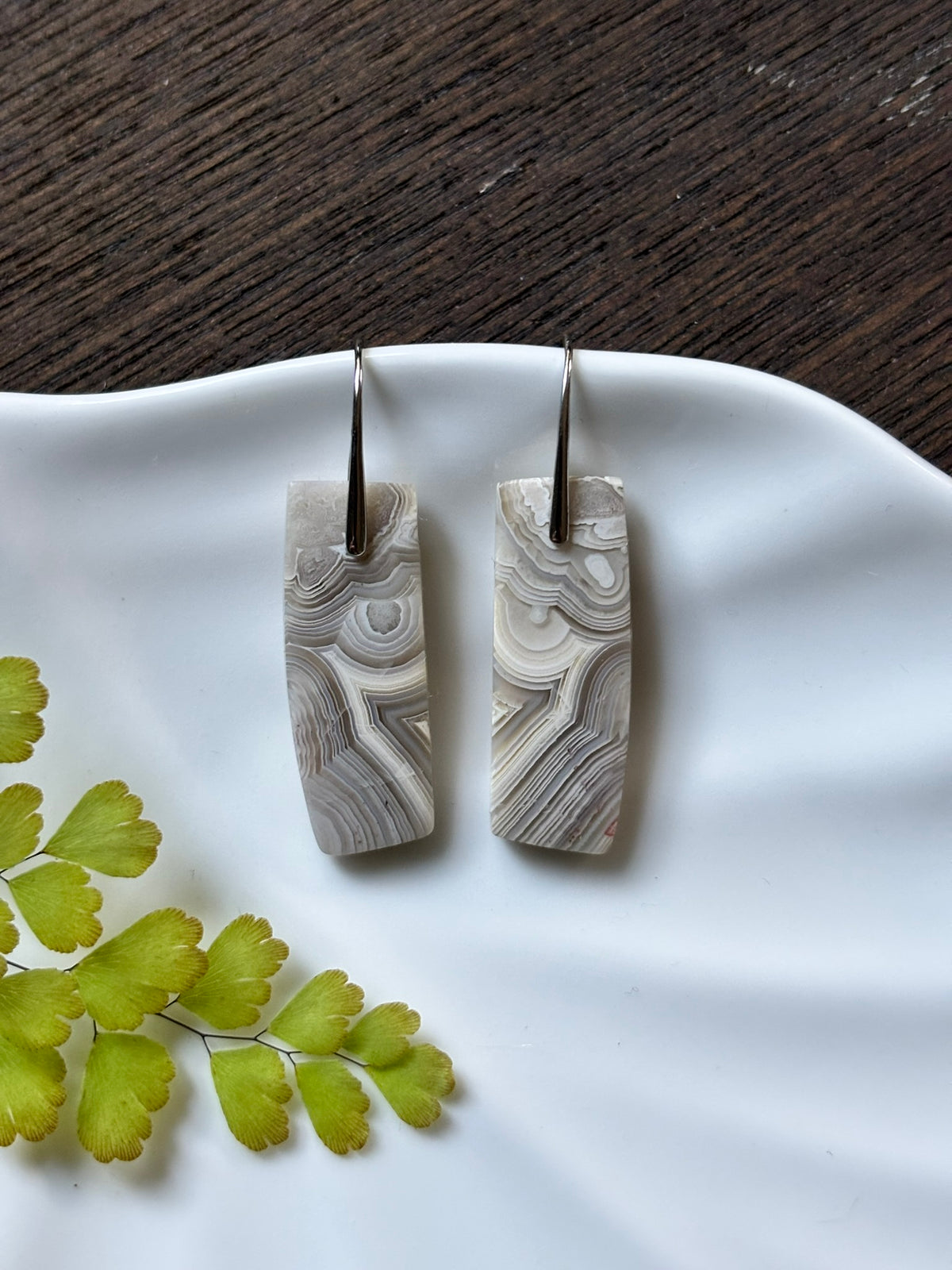 Crazy Lace Agate Silver Lace Earrings