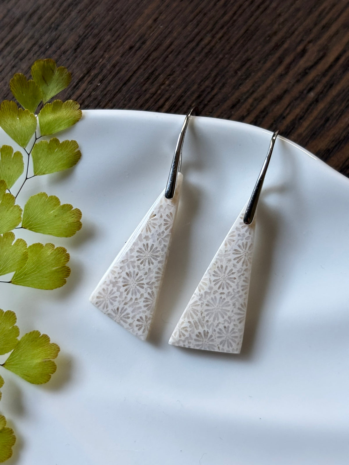 Fossilized Coral Ivory Taper Earrings