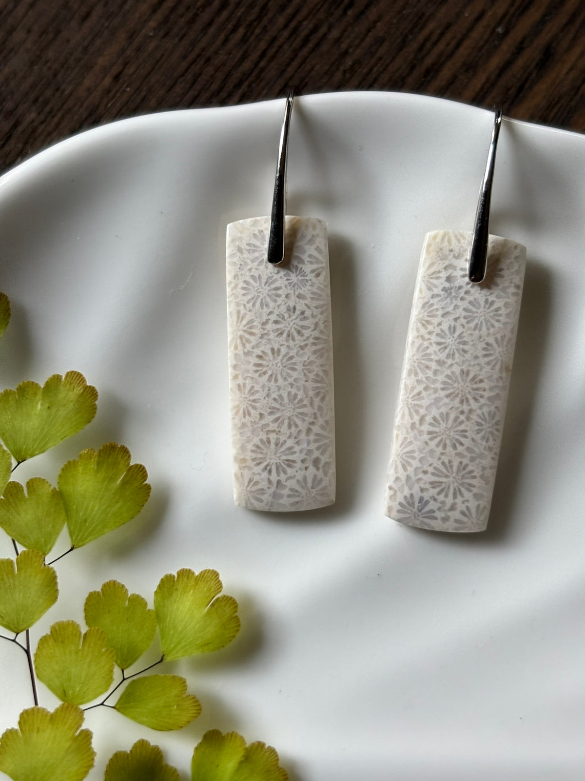Fossilized Coral Ivory Rectangle Earrings