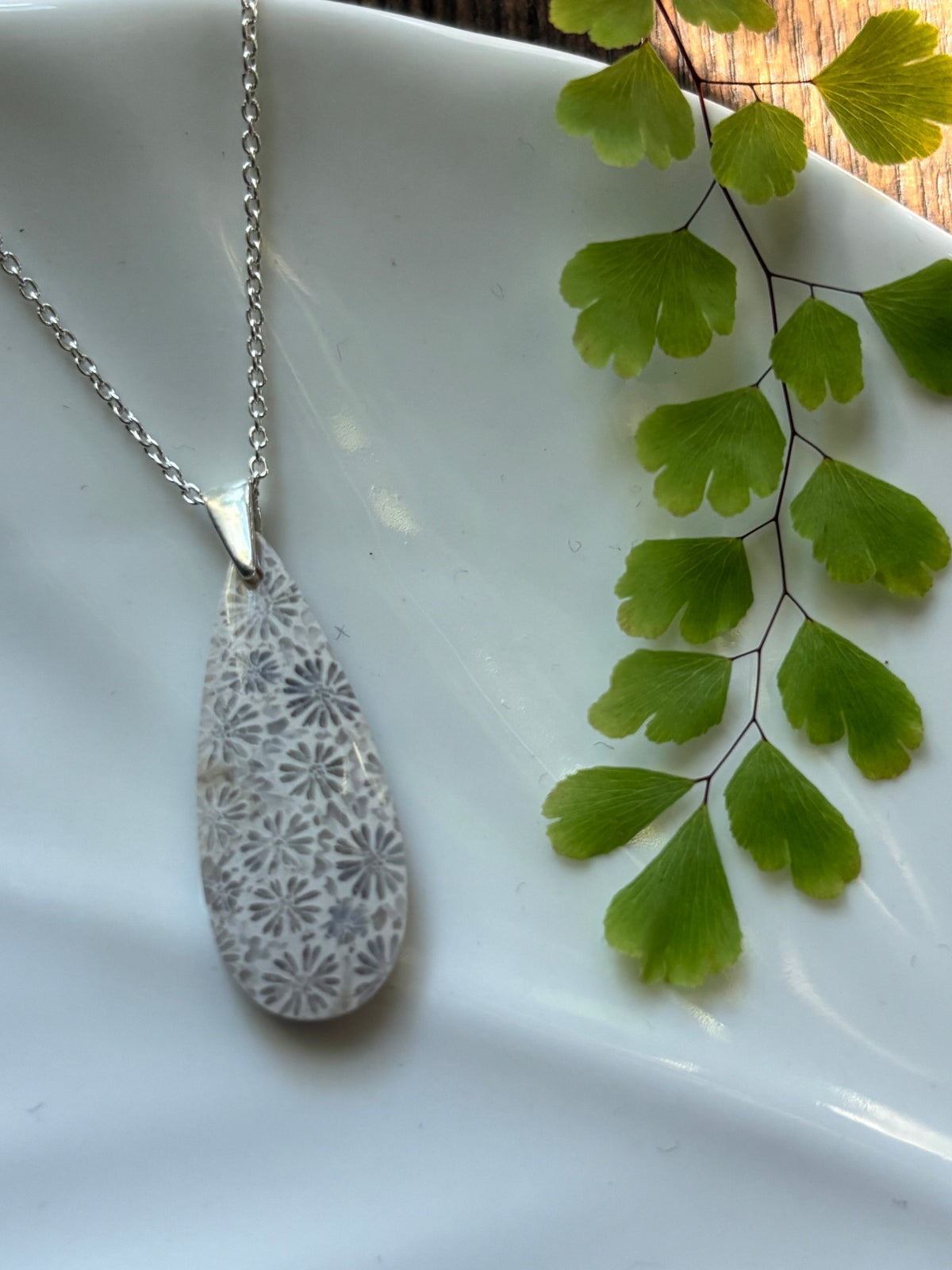 Fossilized Coral Necklace