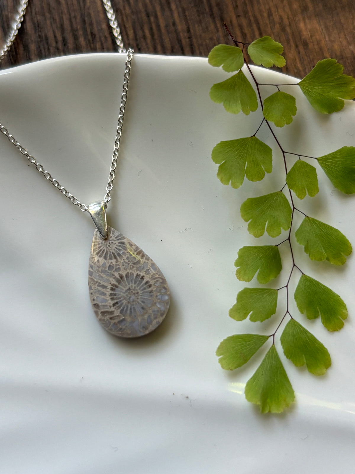 Fossilized Coral Necklace