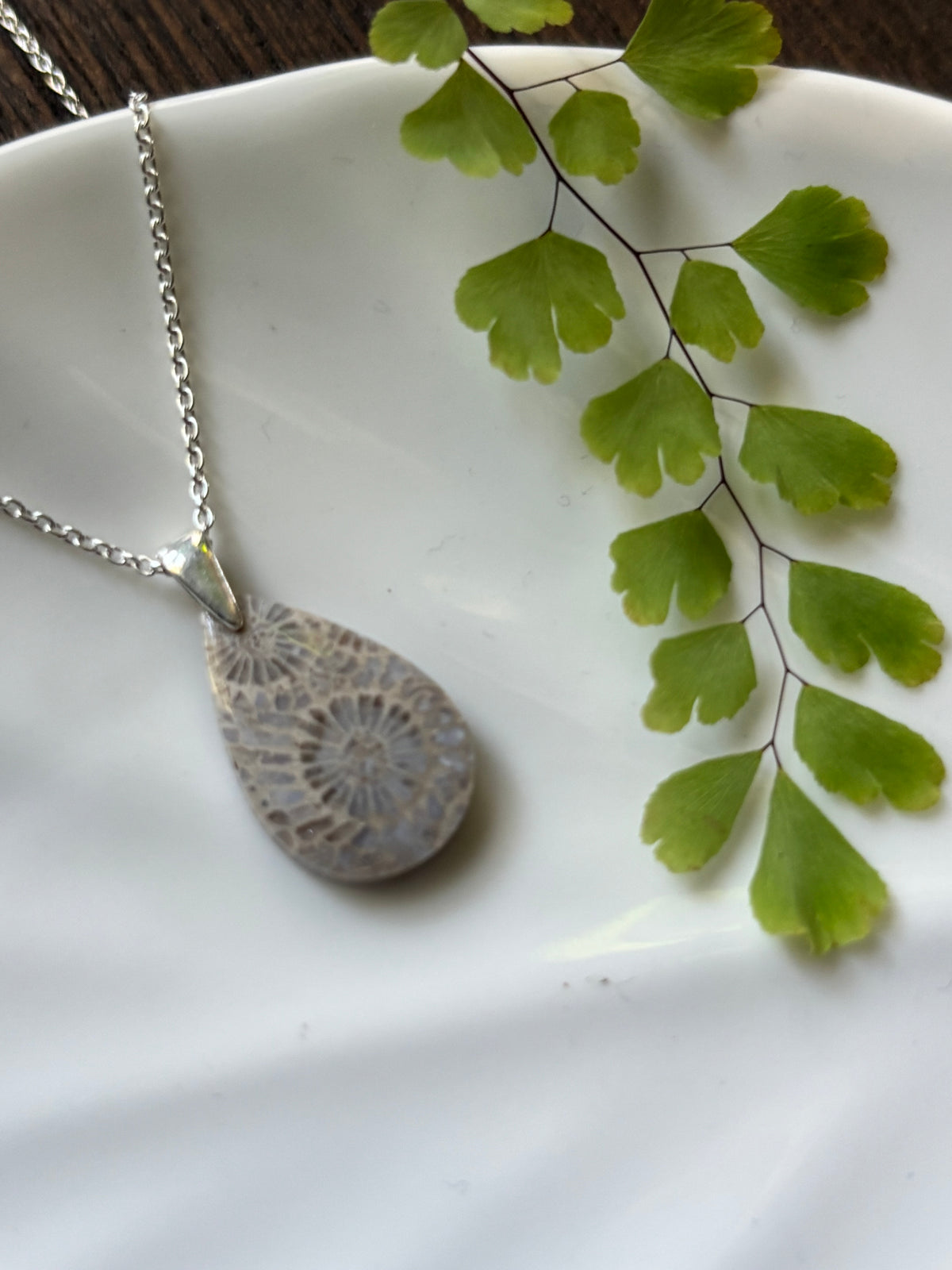 Fossilized Coral Necklace