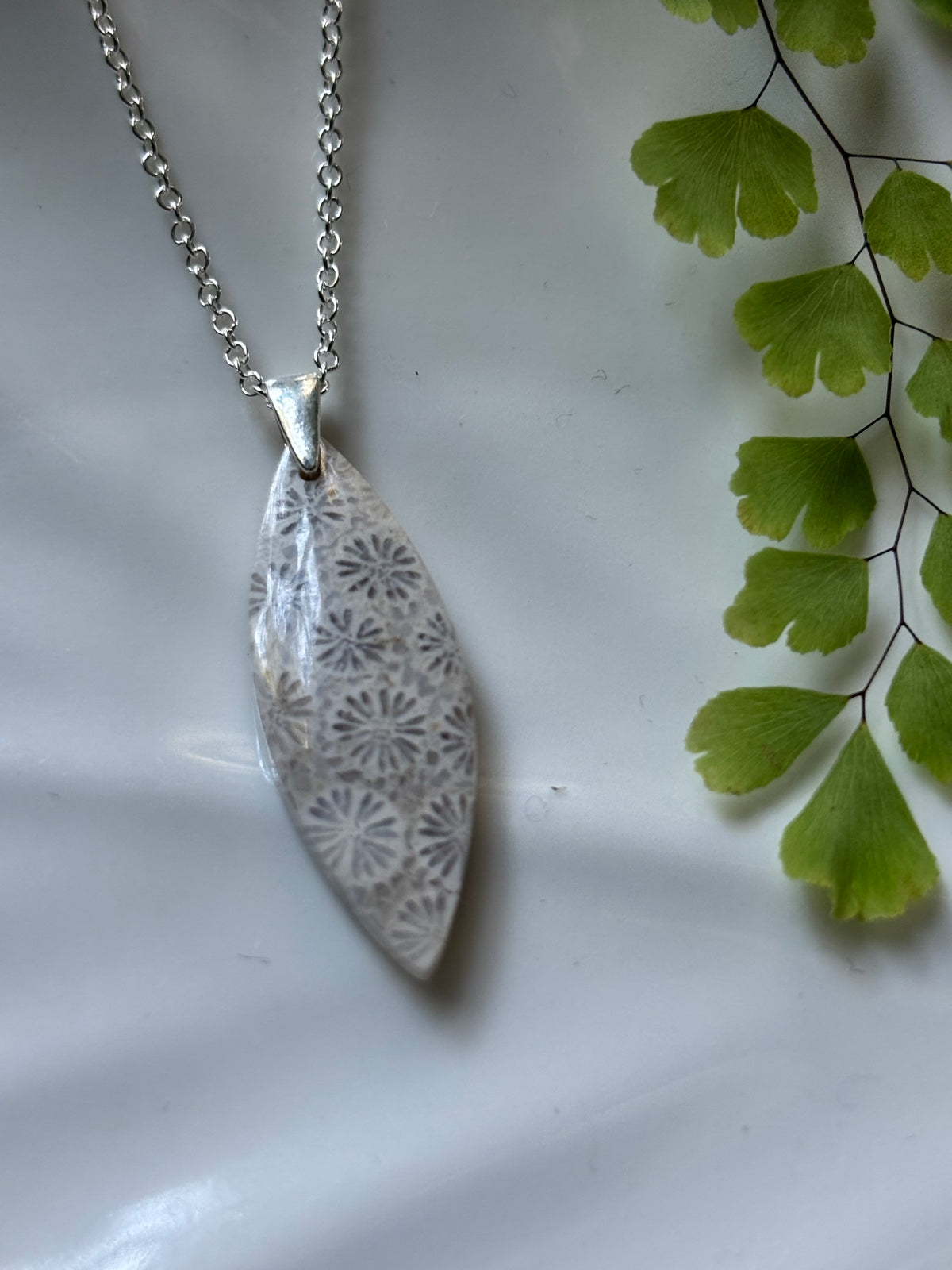 Fossilized Coral Leaf Necklace
