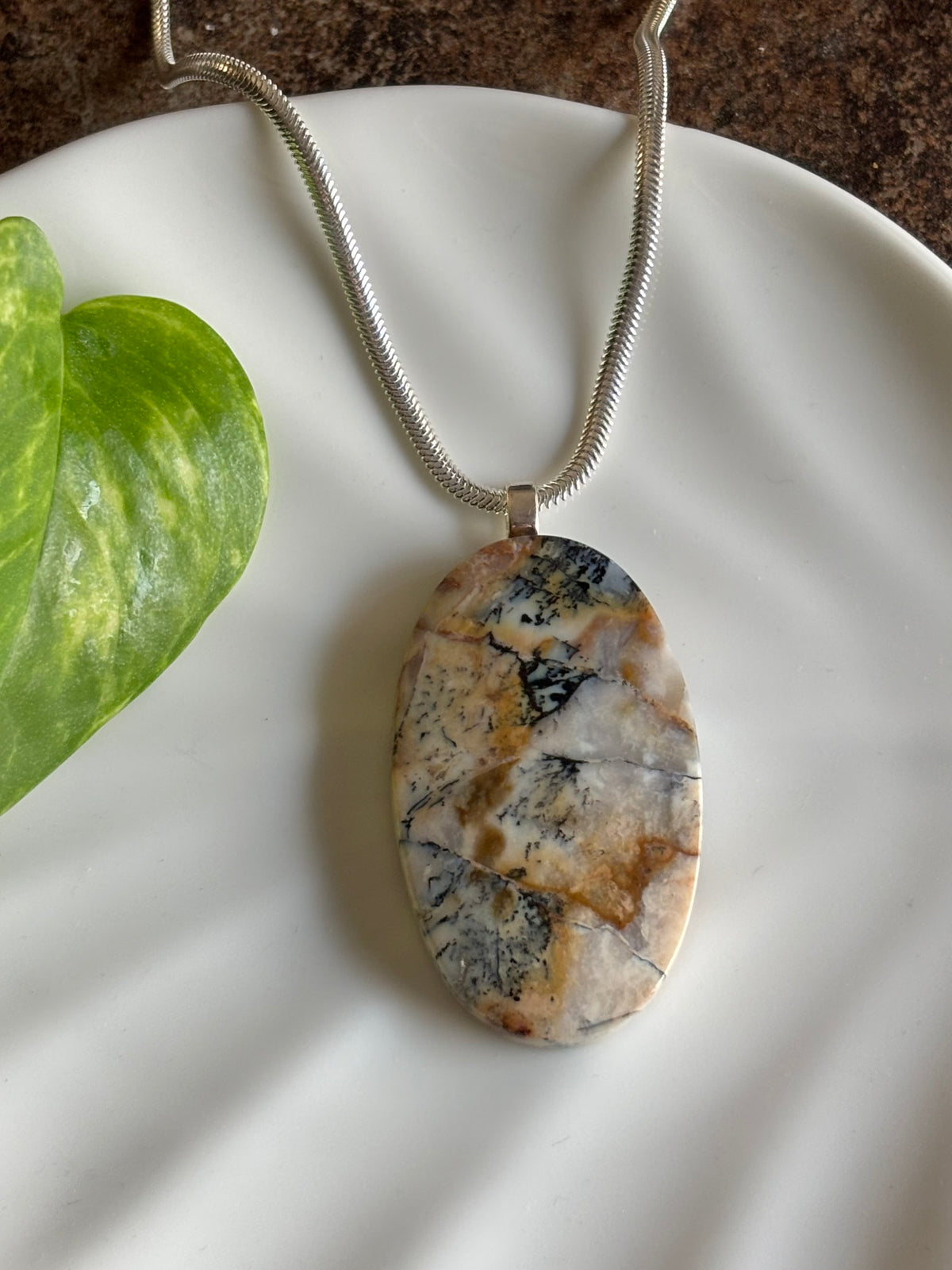 Petrified Wood necklace view 1