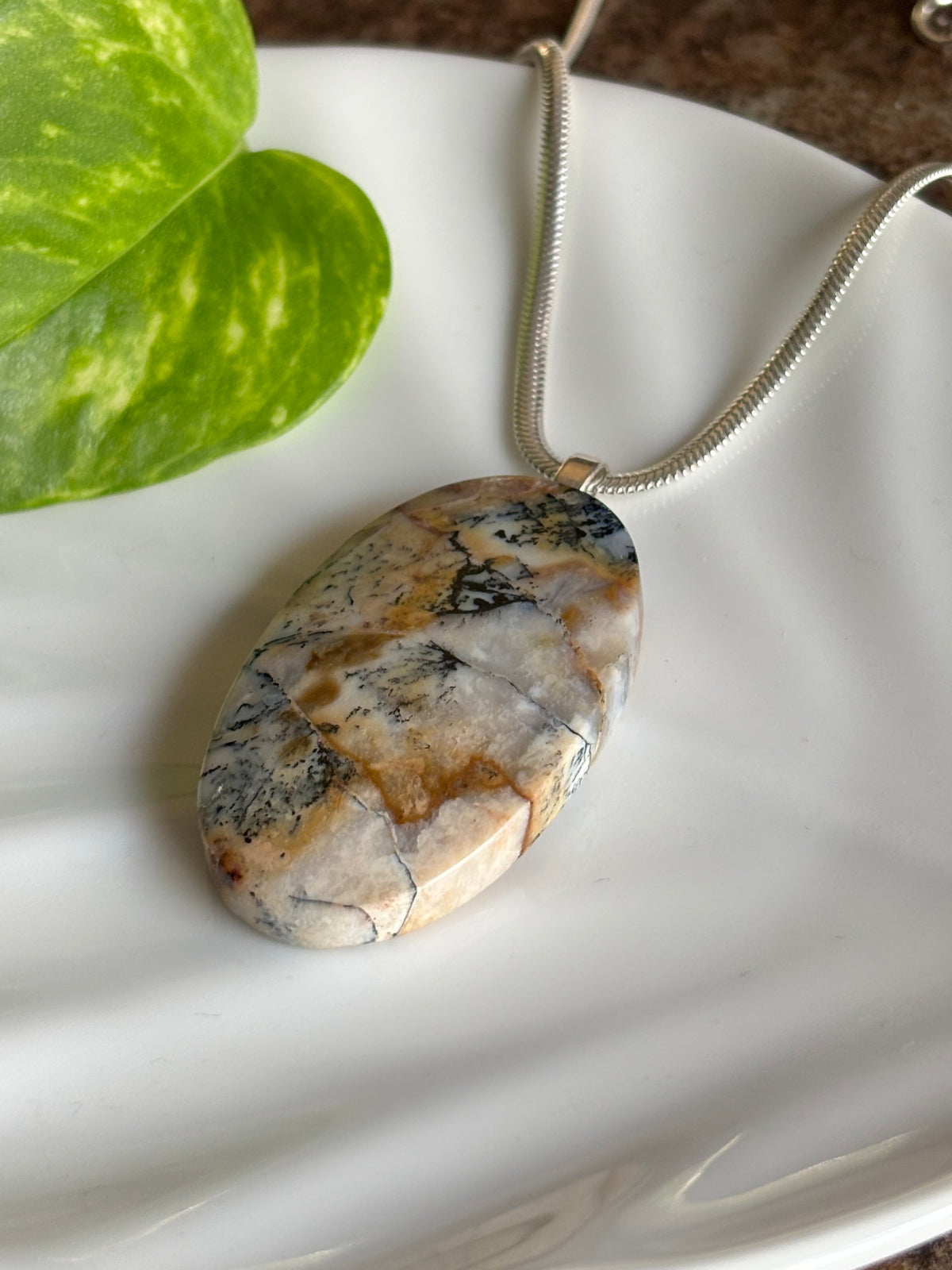 Petrified Wood necklace view 2